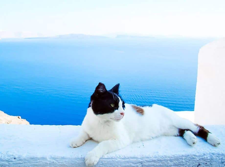 Santorini Summers
