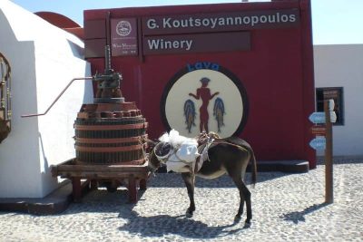 Koutsoyannopoulos5