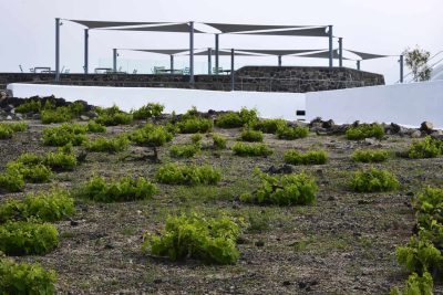 Venetsanos Winery