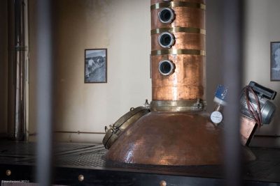 canavasantorini3